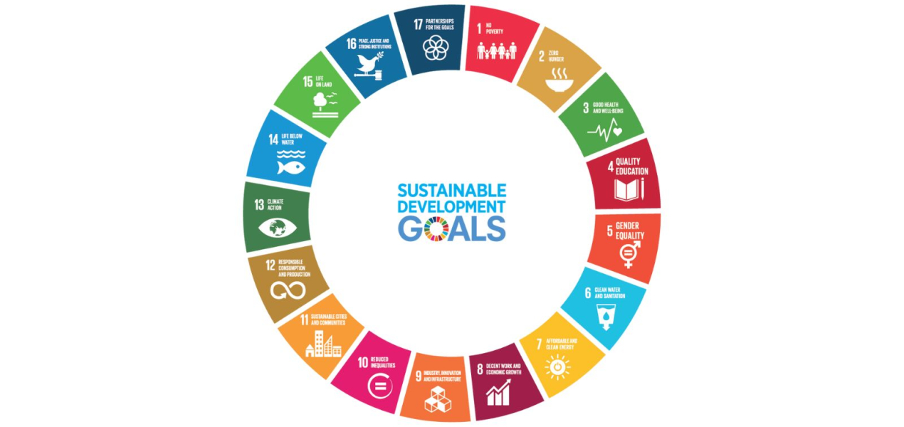 SDGs